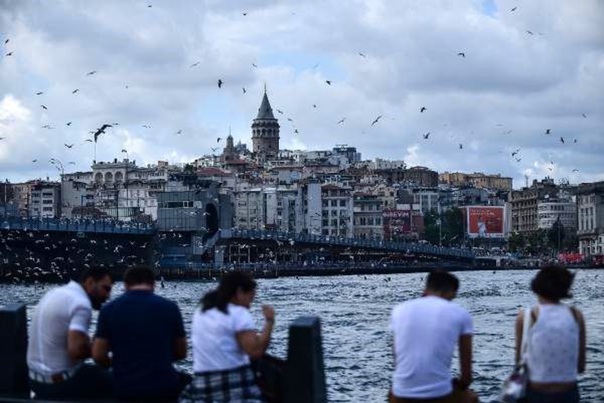 Martıların dansı büyüledi
