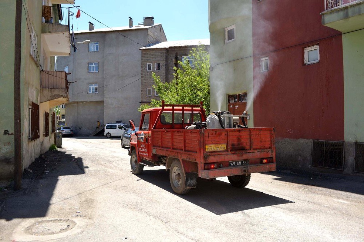 Muş Belediyesinden ilaçlama çalışması