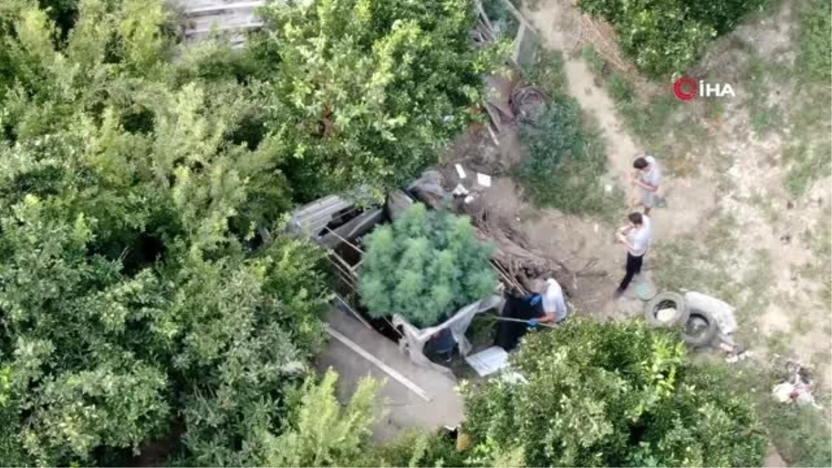 Narenciye bahçesine drone ile uyuşturucu operasyonu