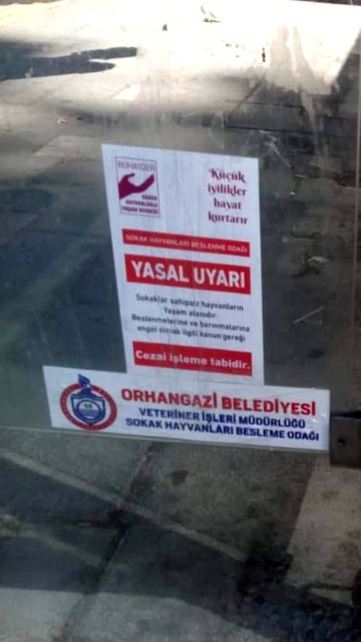 Orhangazi\'de sokak hayvanları sahipsiz değil