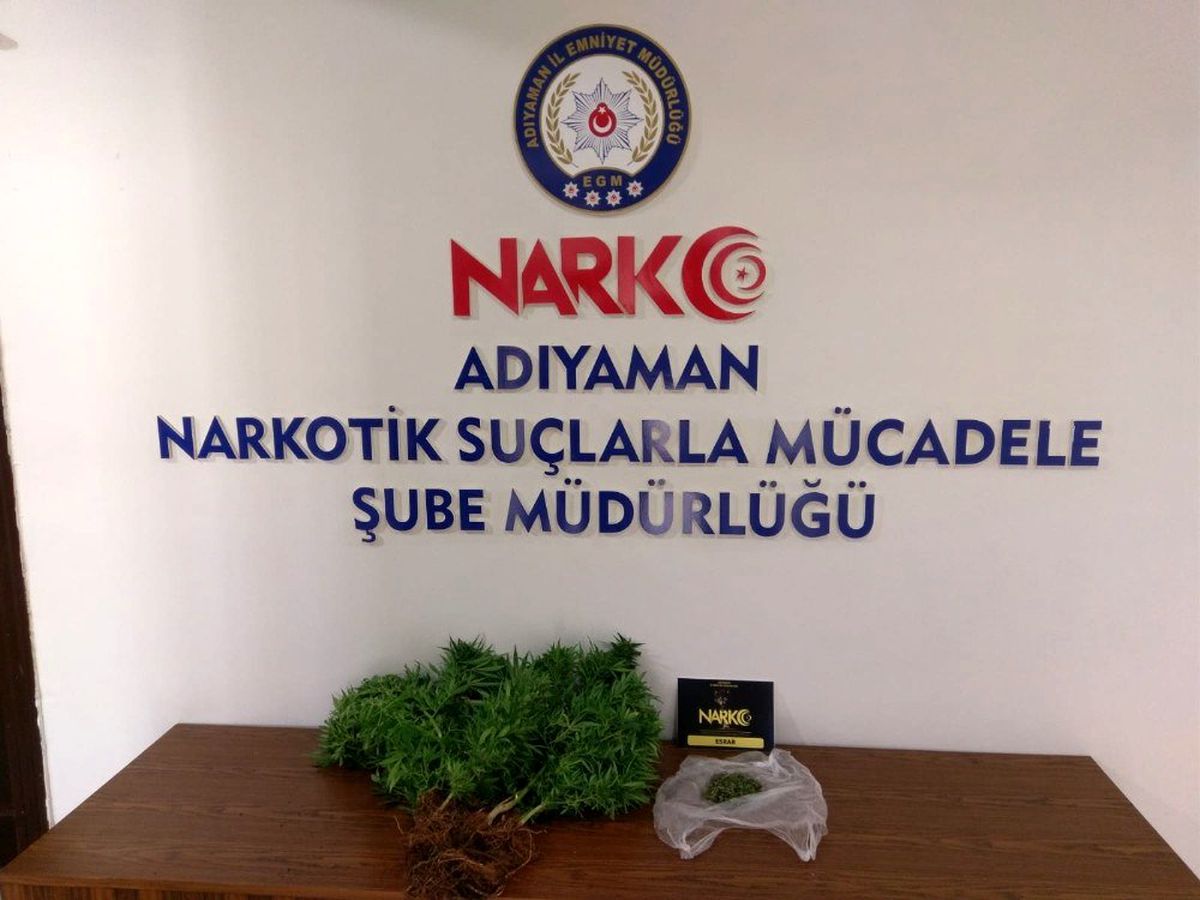 Saksıda yetiştirilen hint kenevirleri ele geçirildi