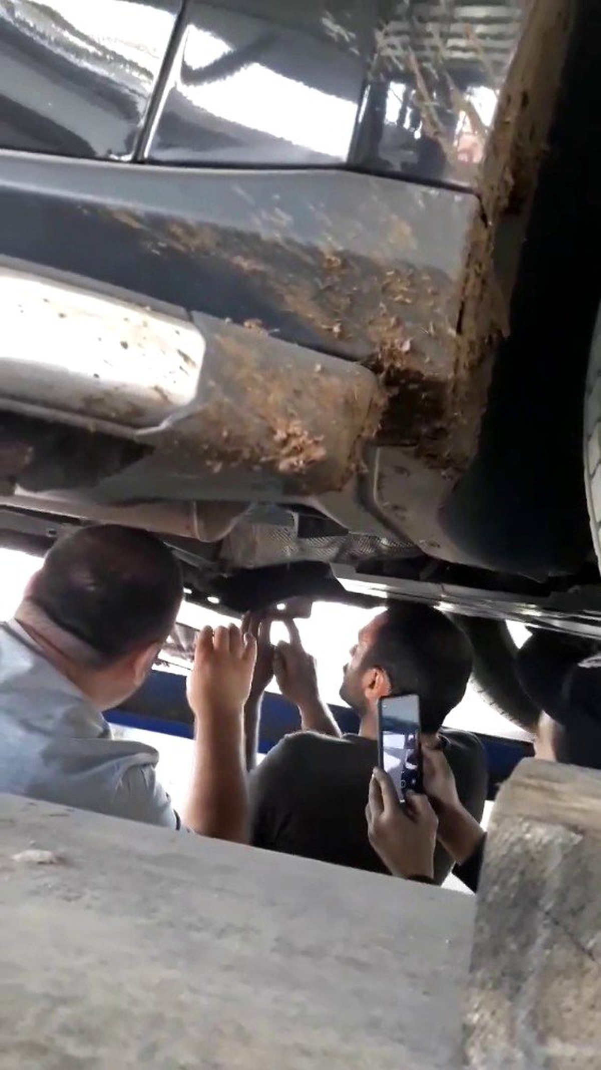 Sanayi esnafı otomobilin motoruna sıkışan kedi için seferber oldu