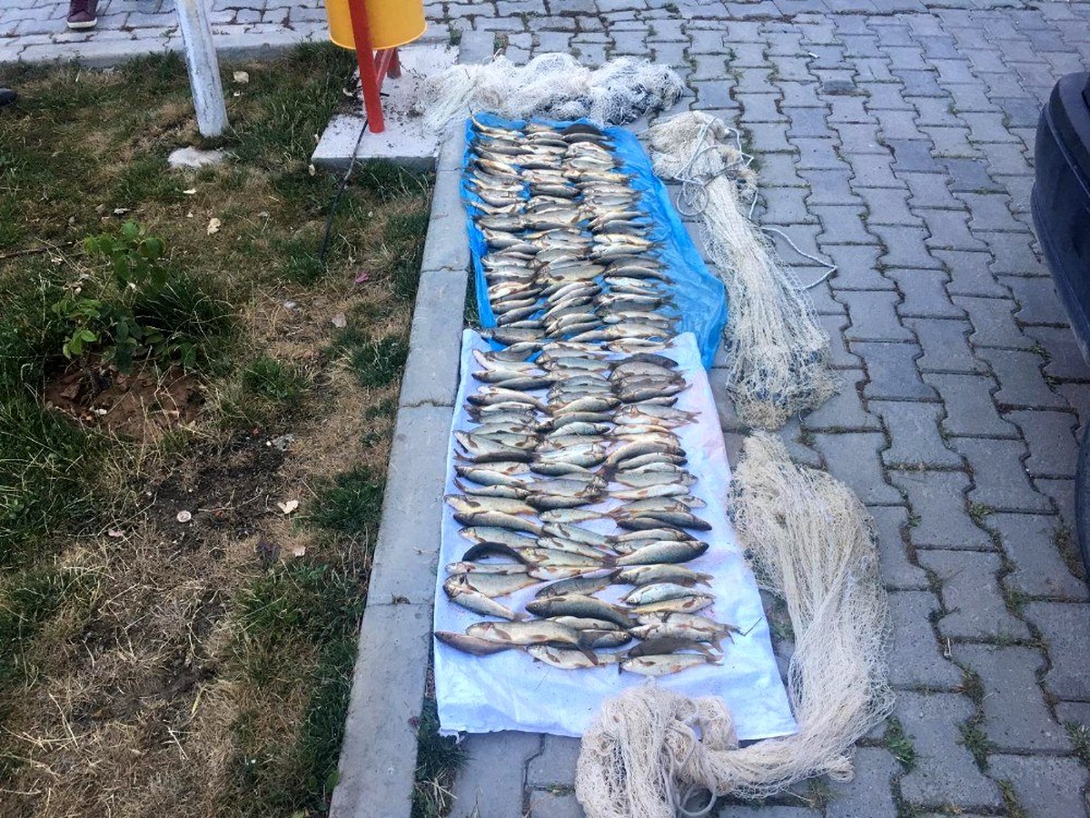 Yol kontrolünde yakalanan kaçak balıkçılara para cezası