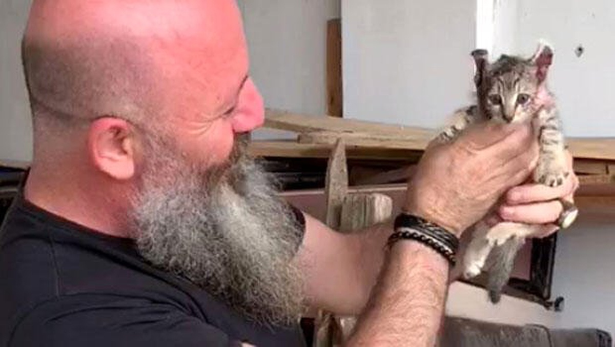 Boruya sıkışan yavru kediyi, yönetmen Erol Koçan kurtardı