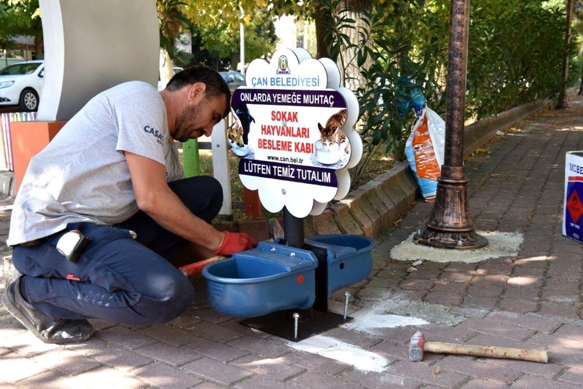 Çan Belediyesi\'nden sokak hayvanları için duyarlı uygulama