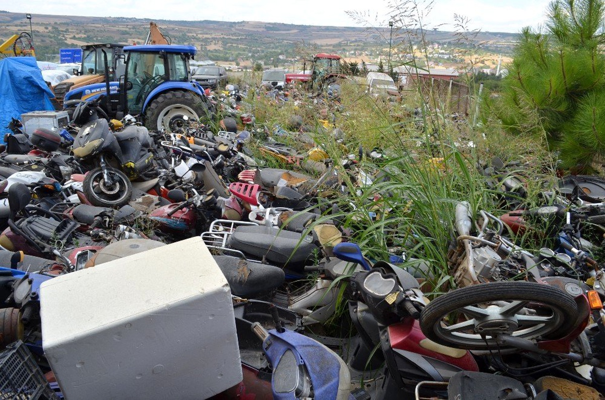 Çürüyen milli serveti inek küpeleriyle koruyor