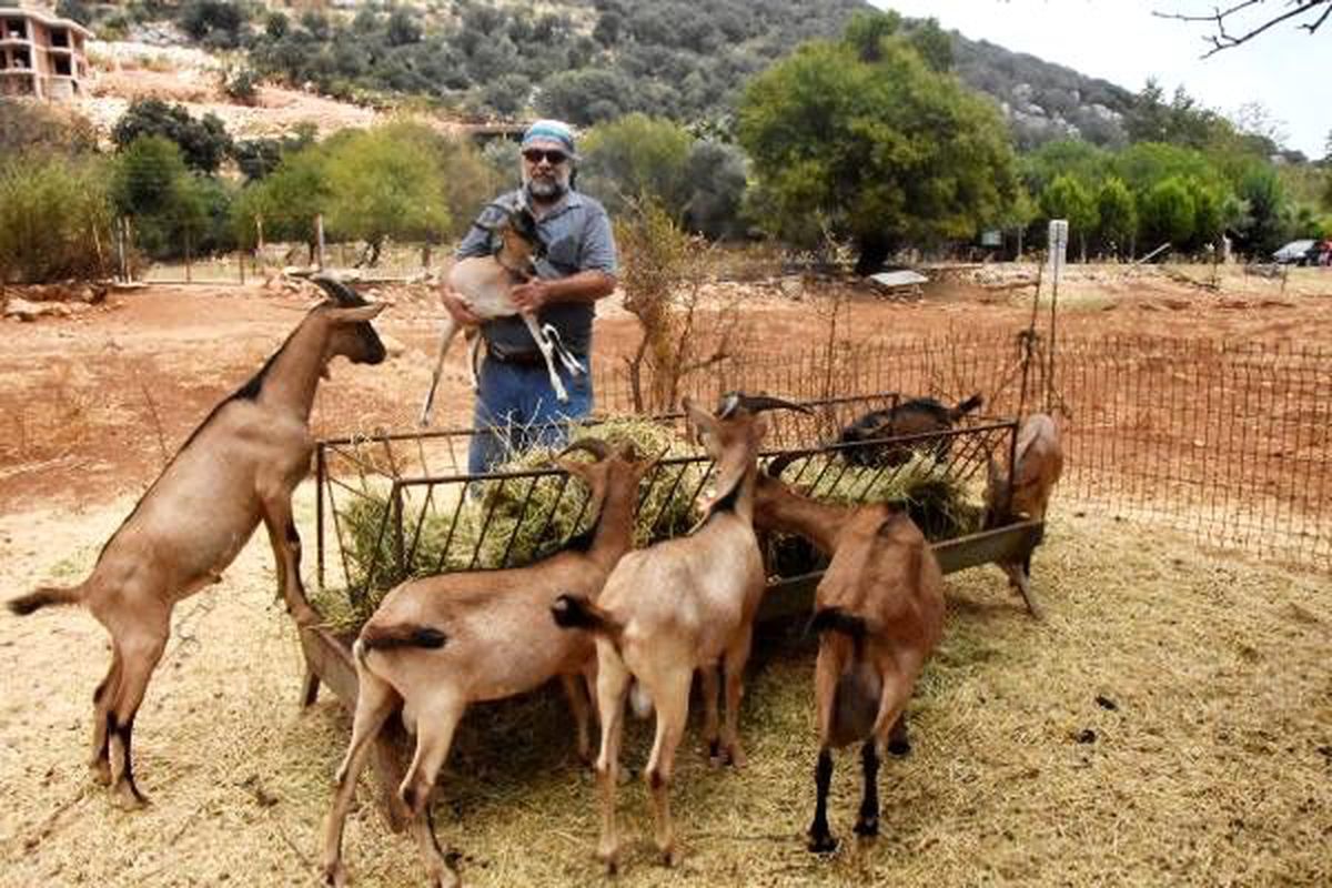 Doğadaki çiftleşmeden yeni keçi ırkı