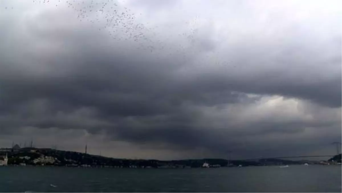 Göç eden leylekler boğaz semalarında eşsiz görüntüler oluşturdu