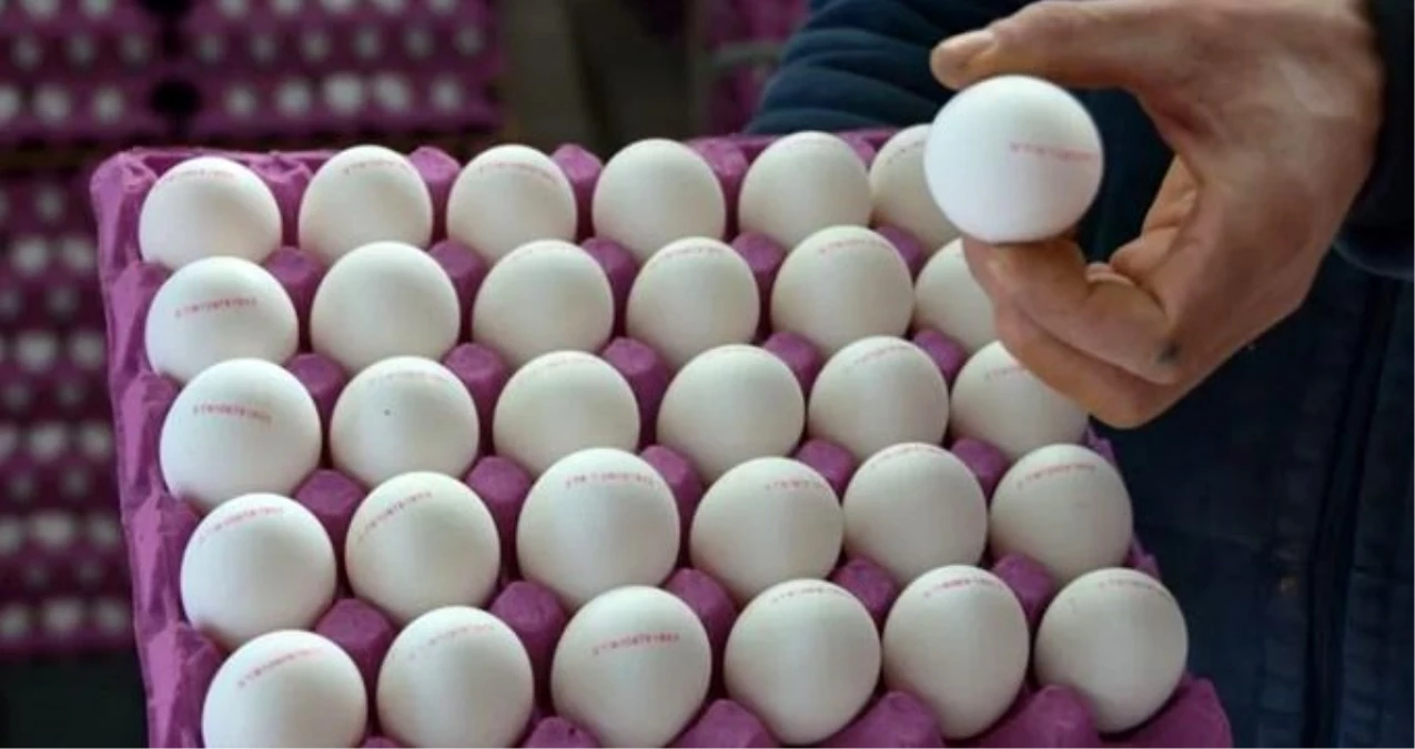 Irak Tarım Bakanı yumurta ithalatı için Türkiye\'ye davet edildi