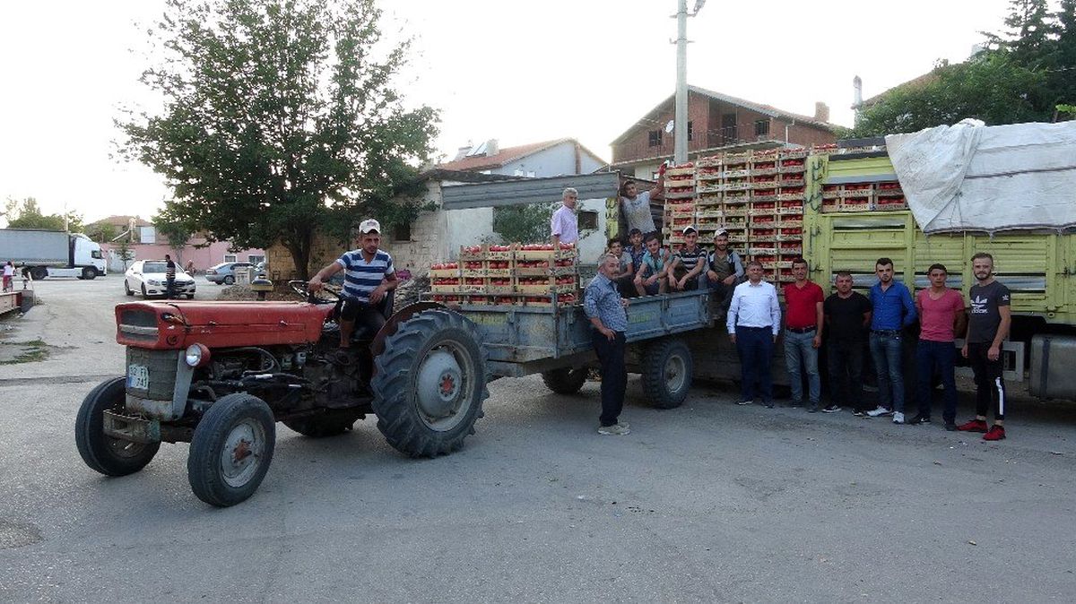 Isparta\'dan dünyaya domates ihraç eden o köy, göç vermek yerine göç alıyor