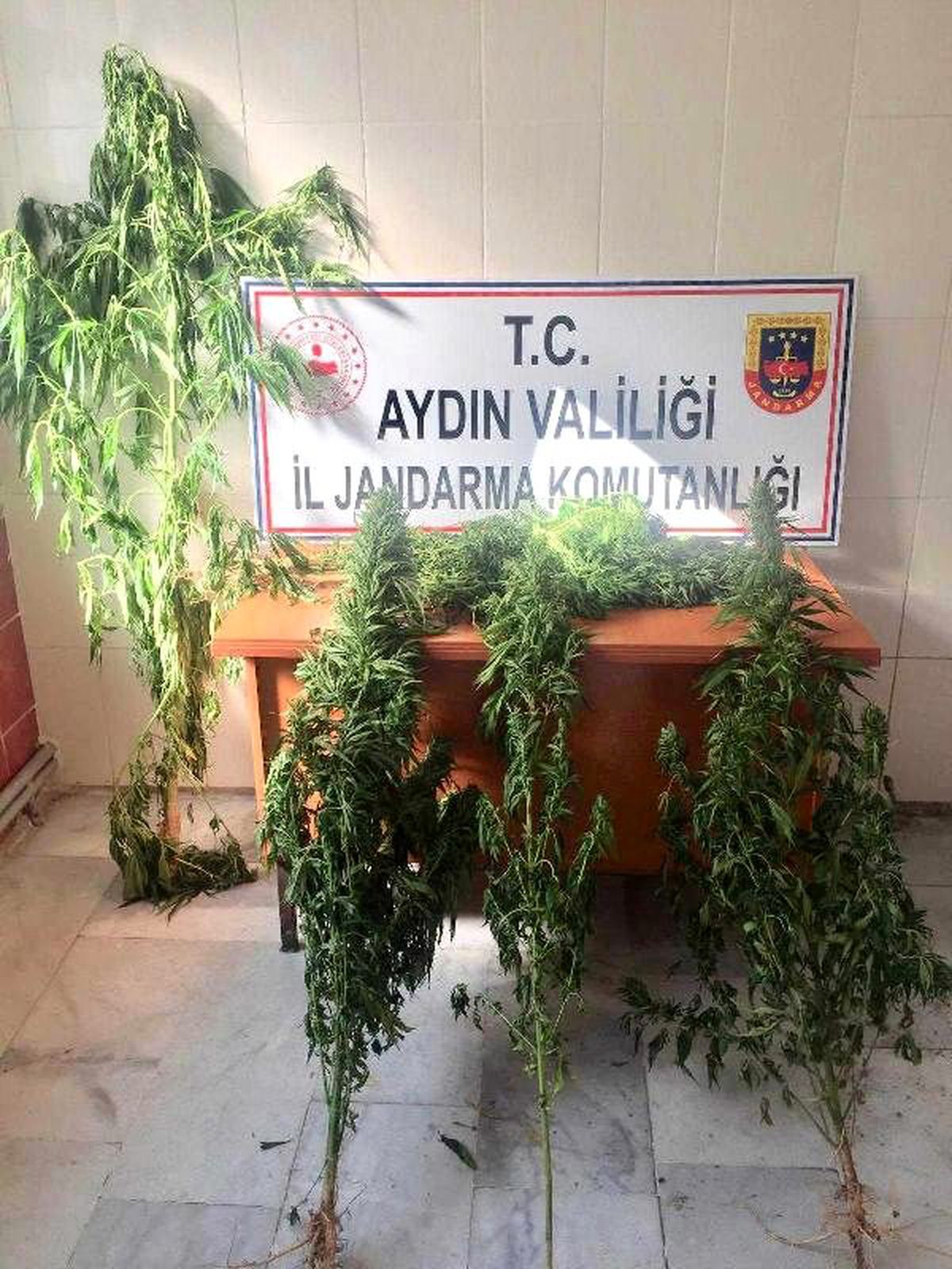 İzmir\'de uyuşturucu operasyonu: 3 tutuklu