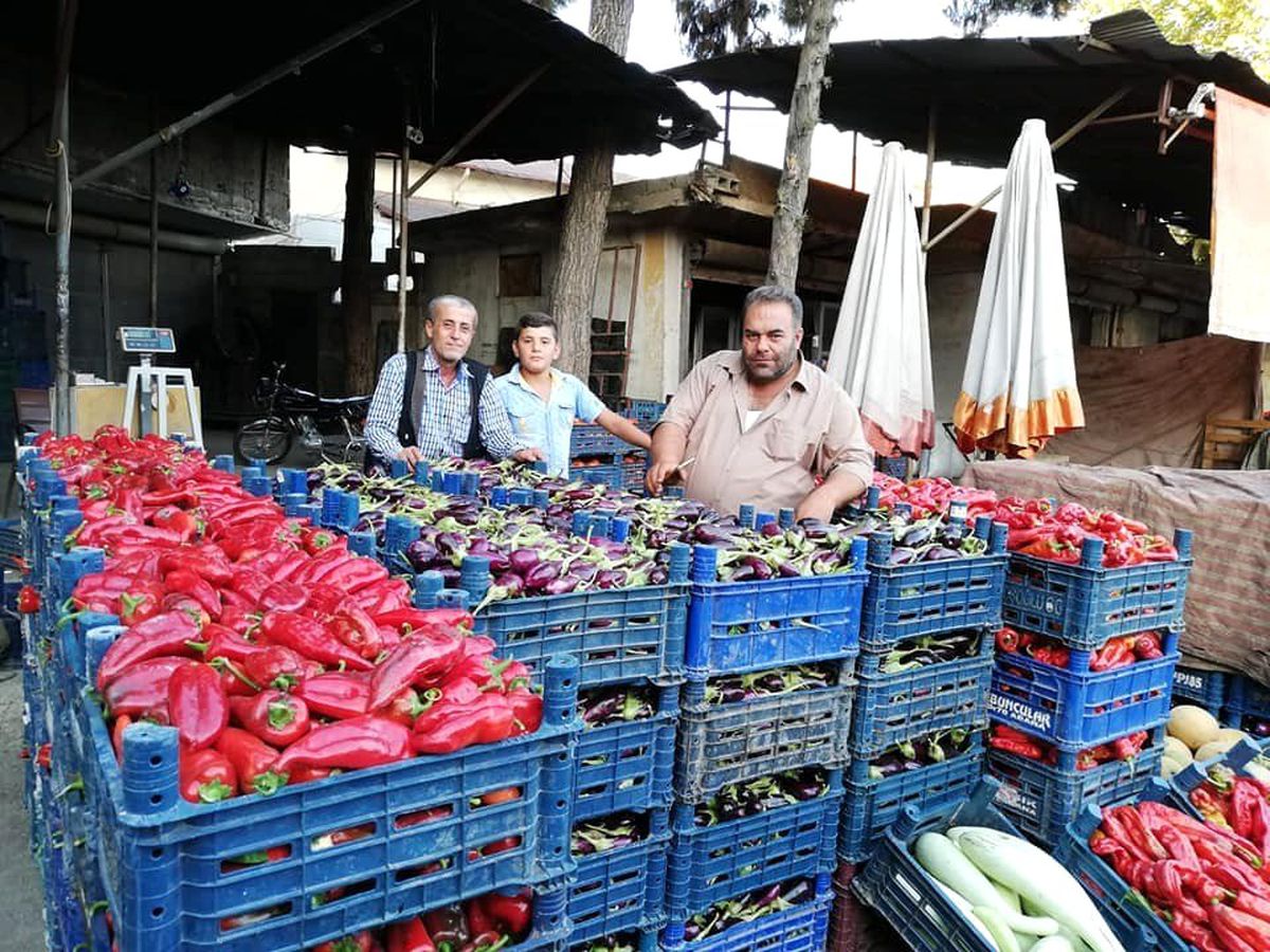 Kilis\'te kurutmalık patlıcanlar ile biberler piyasada