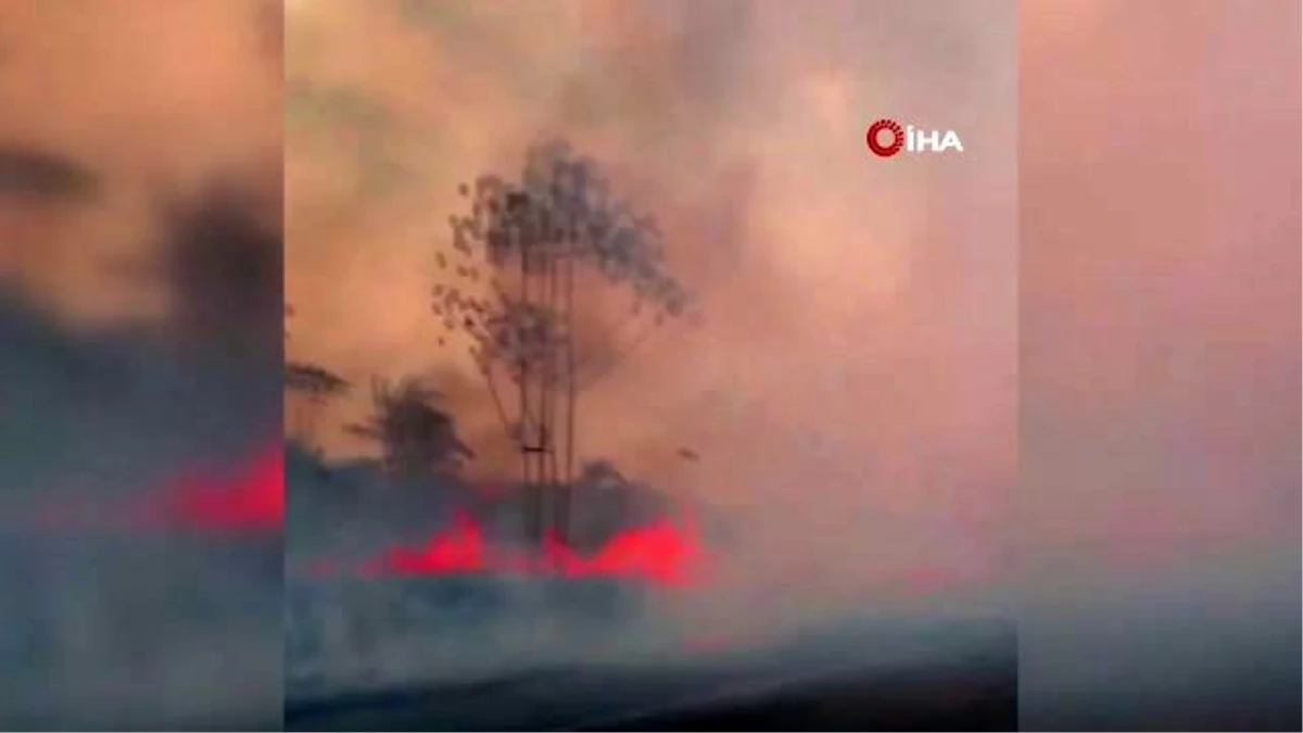 NASA, Amazon Yangınlarını Uzaydan GörüntülediDumanlar, Sao Paulo\'yu Karanlığa GömdüBu Yıl...