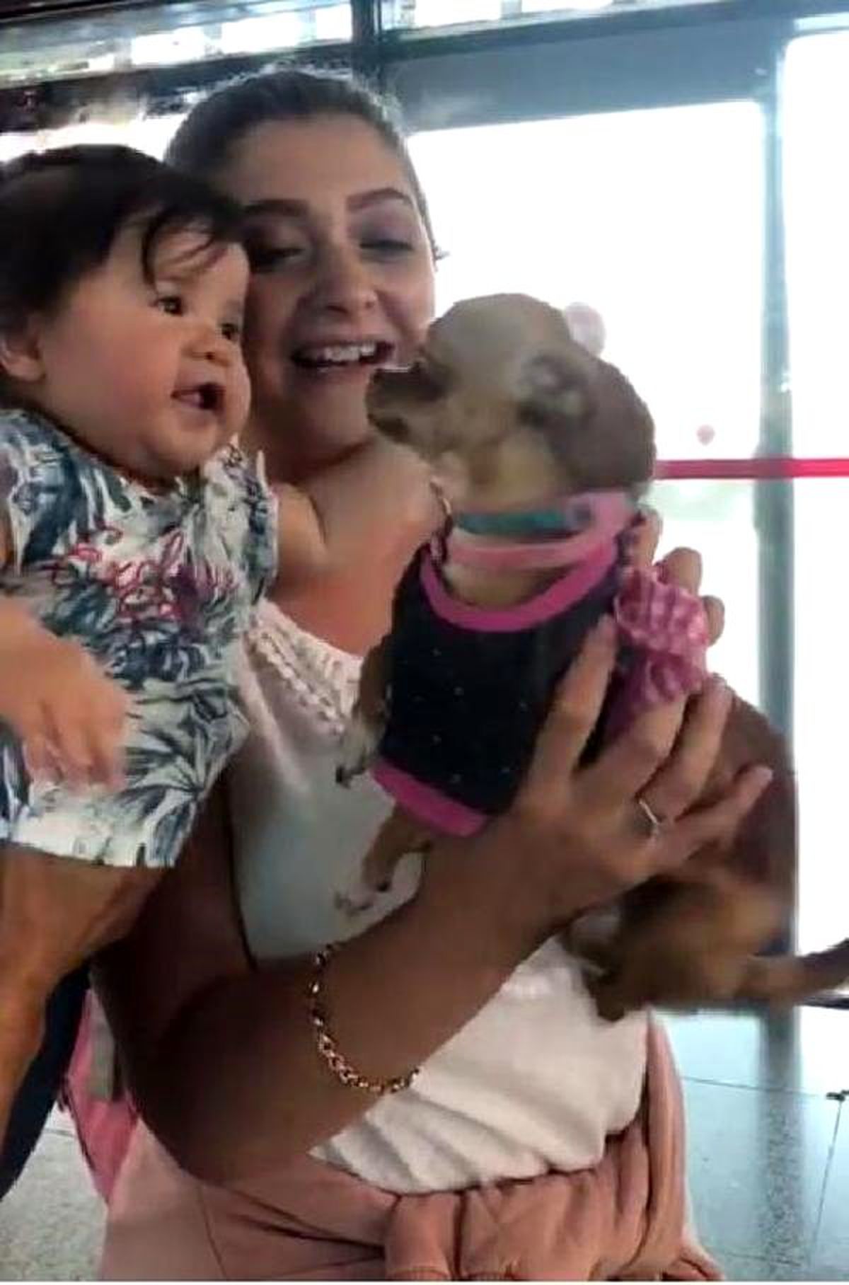 Sevimli köpek \'Barbie\'den havalimanında gülümseten karşılama