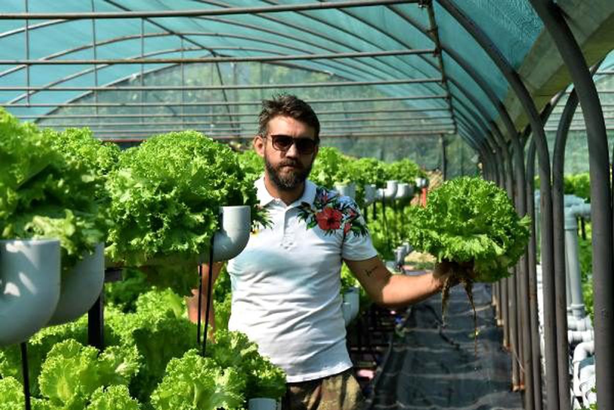 Suda marul yetiştirip, üretim hızını 3 kat artırdı