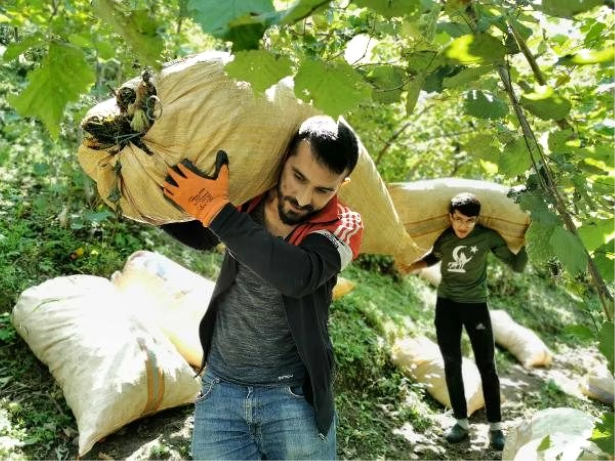 Ziraat odalarından \'Emanete fındık bırakmayın\' uyarısı