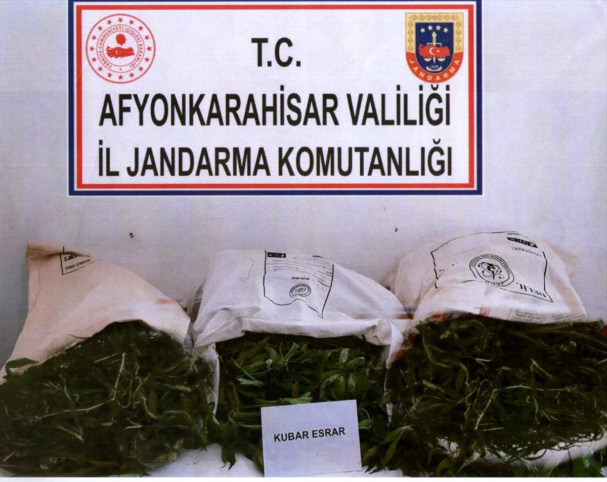Afyonkarahisar\'da esrar operasyonu