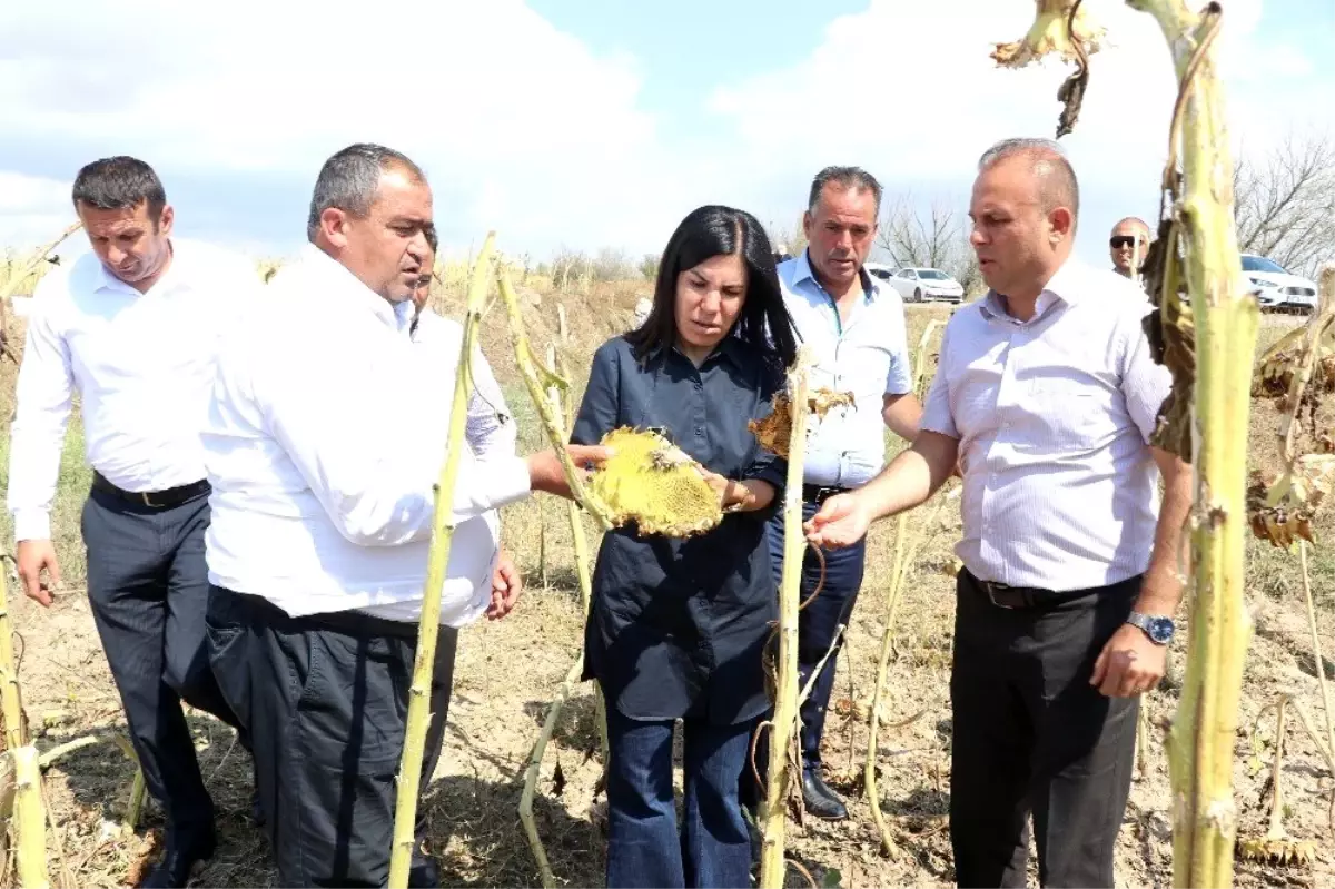 Aksaray\'daki dolu afetinde zarar gören arazi 20 bin dekara yükseldi