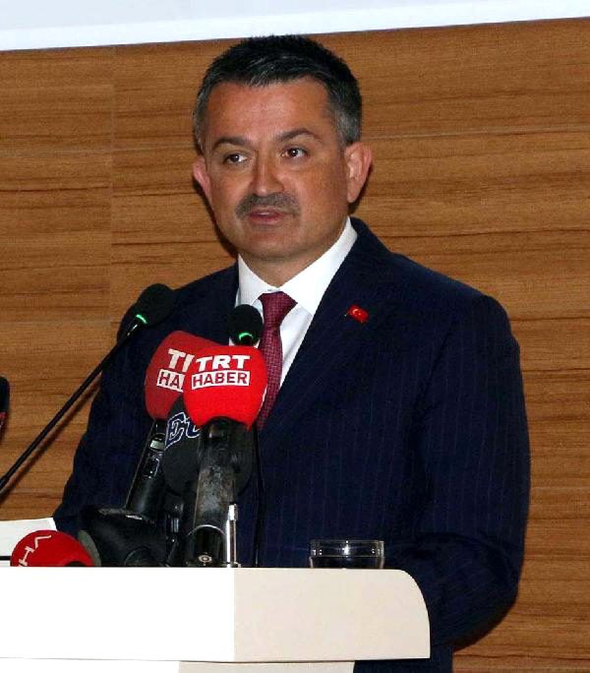 Bakan Pakdemirli, Manisa\'da üzüm rekoltesini açıkladı (2)