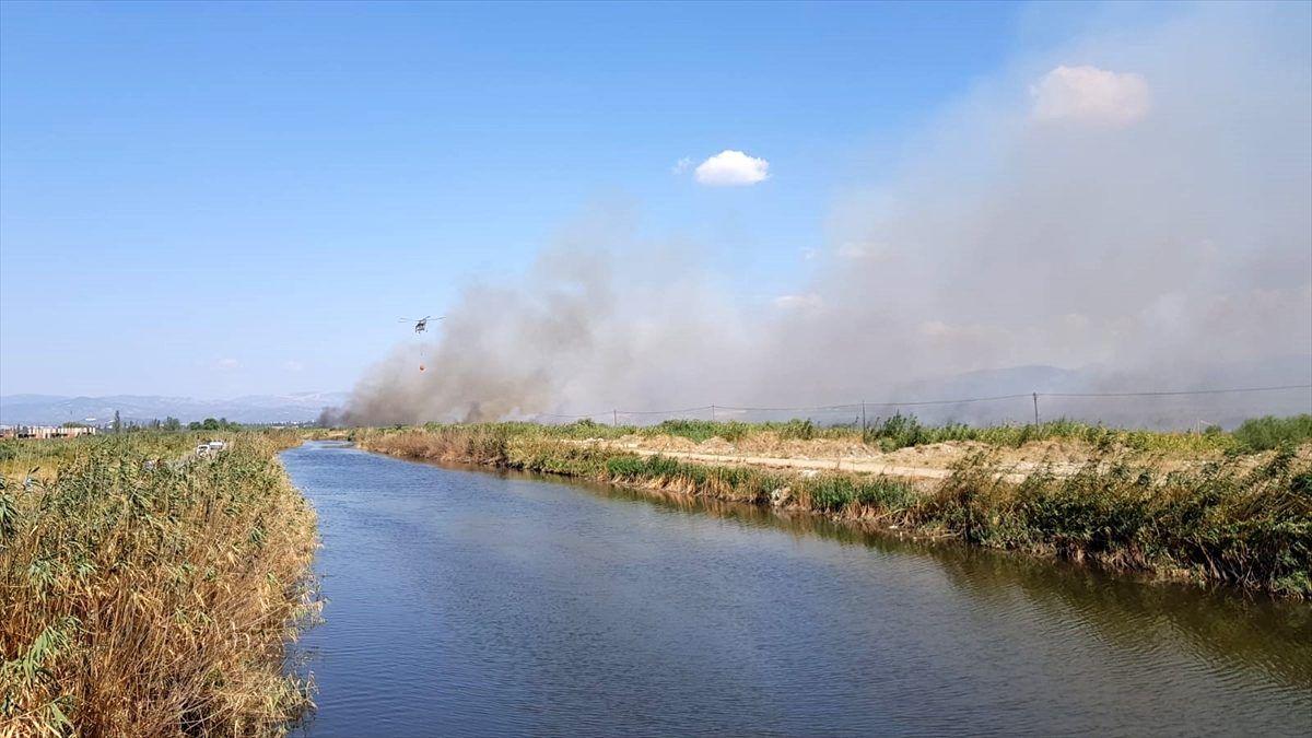 Edremit Körfezi'nde sazlık alanda yangın