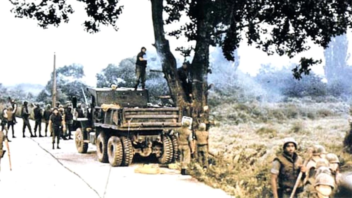Kore sınırında 43 yıl önce neredeyse savaş çıkartan ağaç budaması