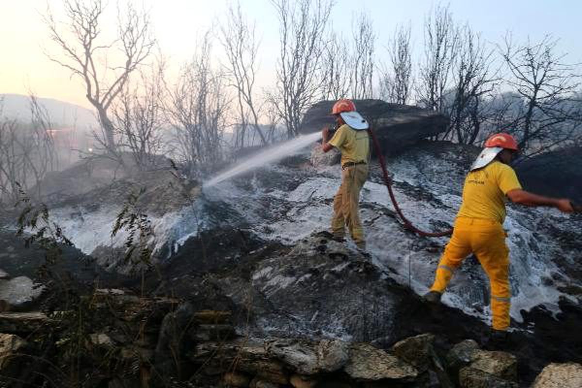 Muğla\'da ziraat arazisinde yangın: 2 dönüm arazi kül oldu