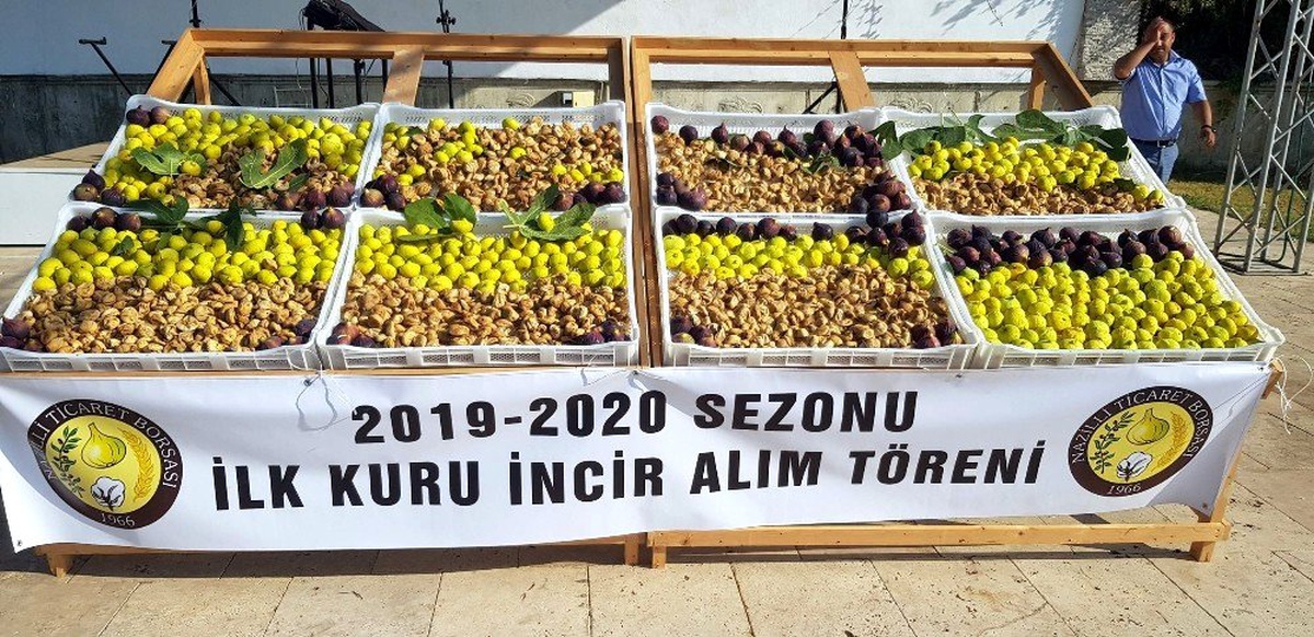 Nazilli\'de sezonun ilk inciri 250 TL\'den alıcı buldu