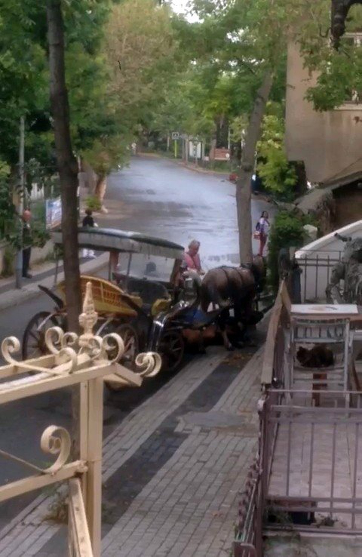 (Özel) Büyükada\'da faytona sürülen at bitkin düştü, faytoncu zorla yerden kaldırmaya çalıştı
