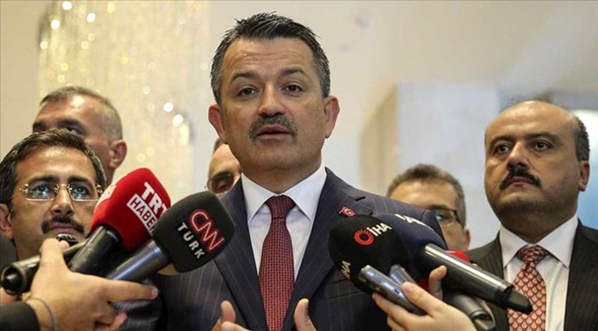 Pakdemirli: Bu uçaklar emniyetli olarak addedilmiyor