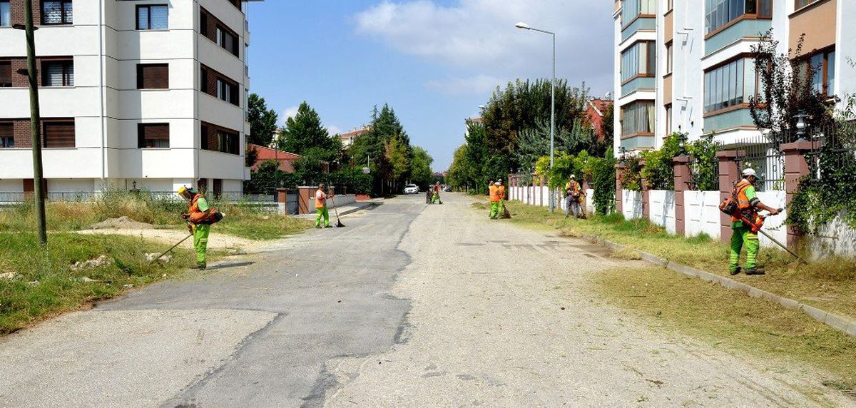 Tepebaşı\'nda yabani ot temizliği sürüyor