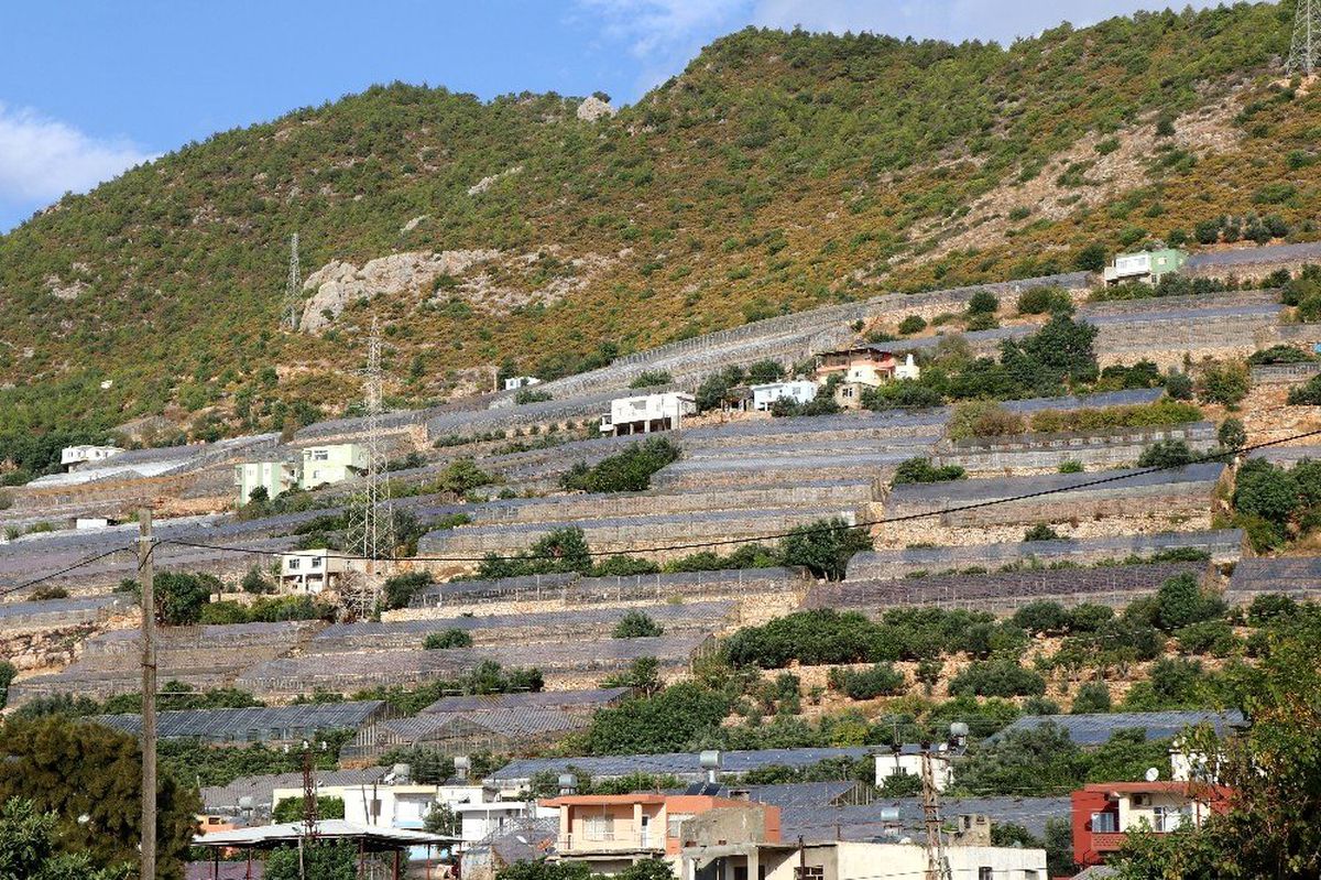 Türkiye seracılıkta dünya ile yarışıyor