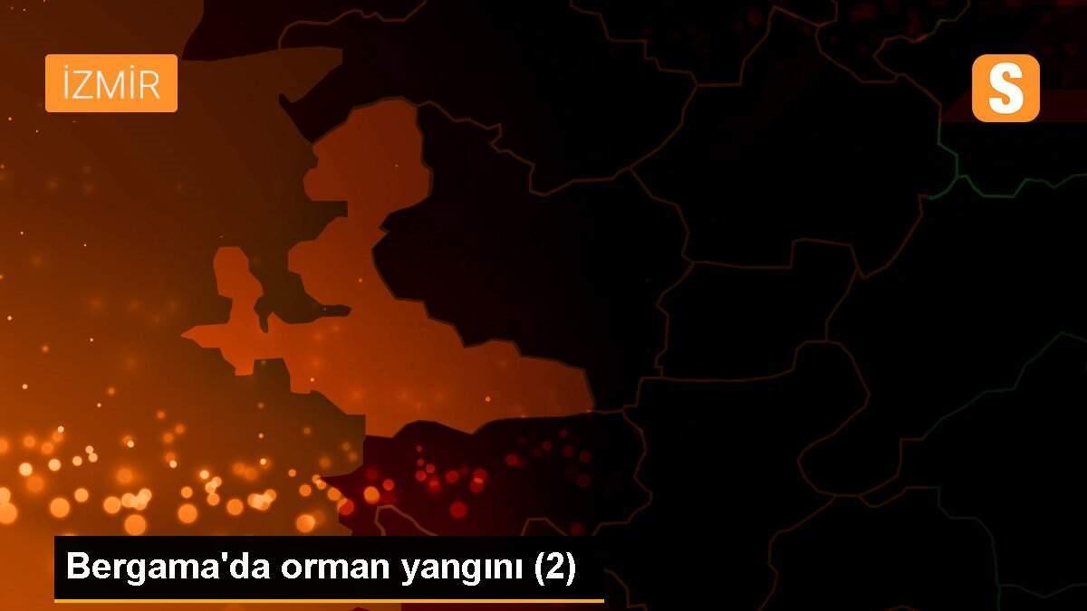 Bergama\'da orman yangını (2)