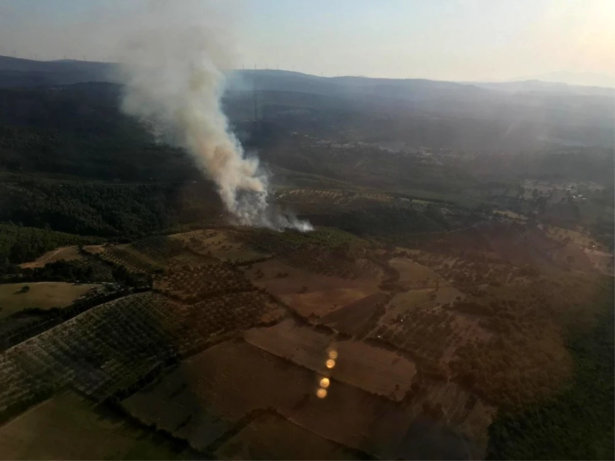 Bergama\'daki orman yangını söndürüldü