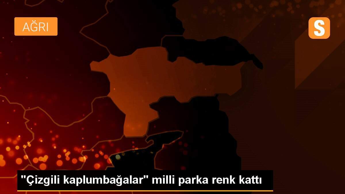 "Çizgili kaplumbağalar" milli parka renk kattı