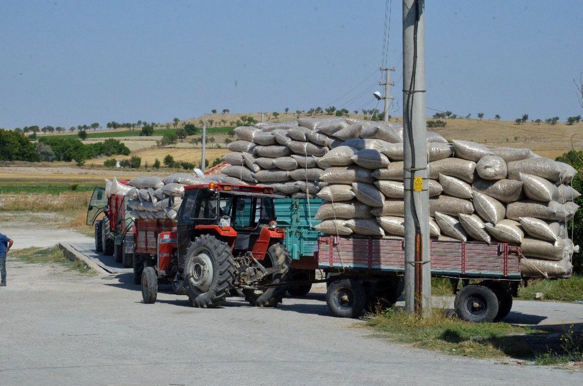 Günyüzü\'nde haşhaş kapsülü alımı devam ediyor