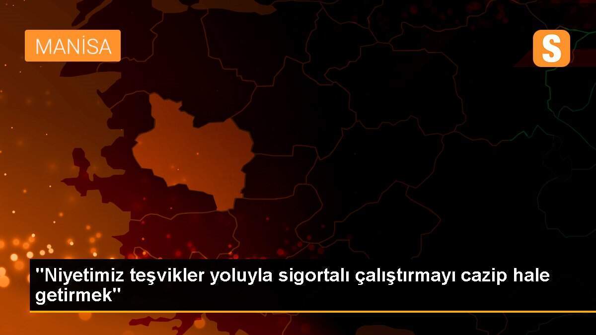 "Niyetimiz teşvikler yoluyla sigortalı çalıştırmayı cazip hale getirmek"