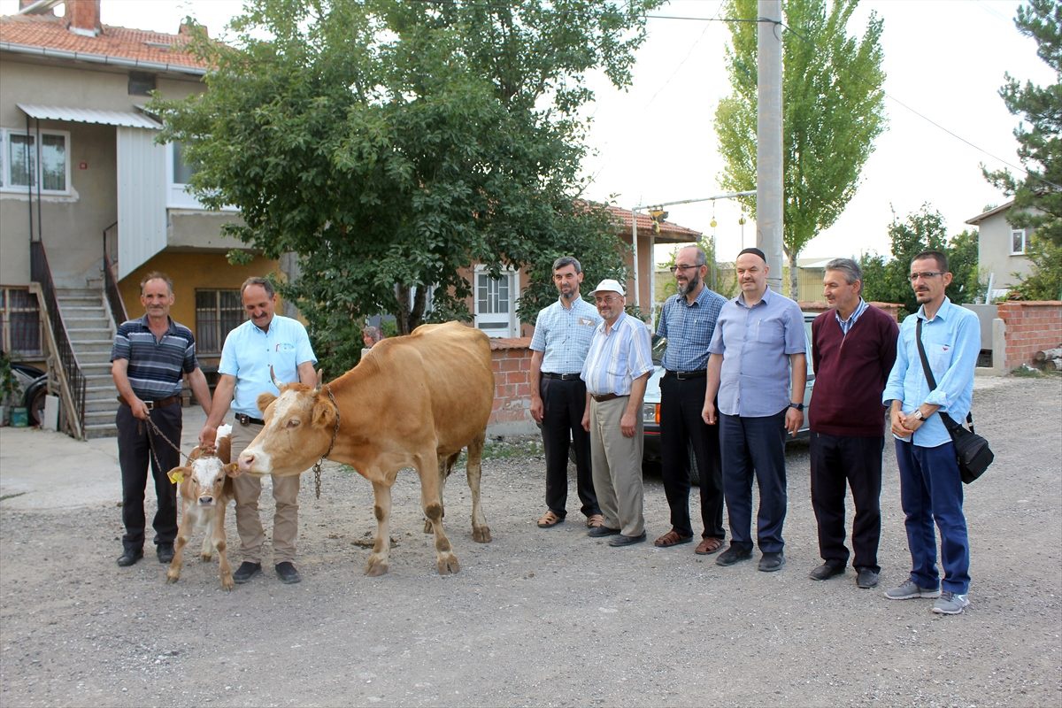 Tavşanlı\'da inekleri telef olan aileye yardım