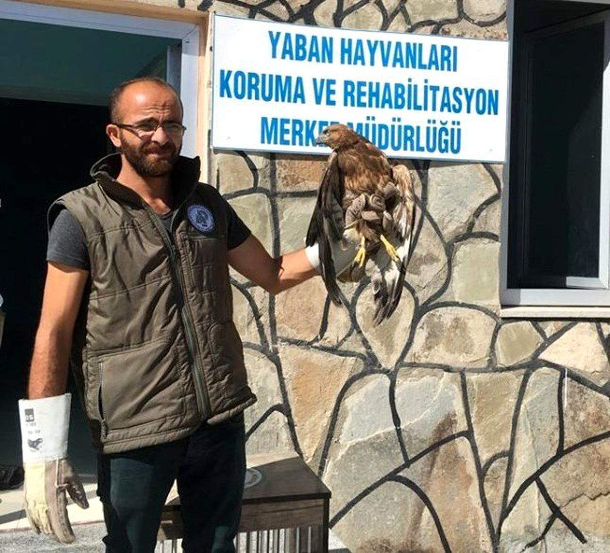 Van\'da yaralı kuşlar tedavi altına alındı