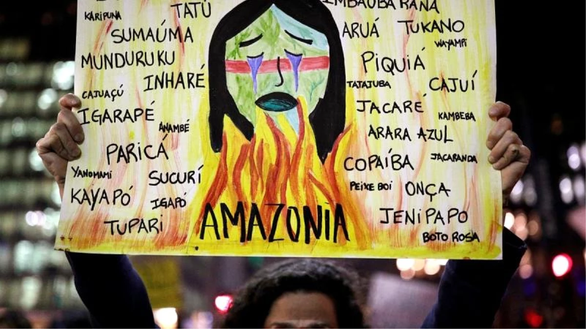 Amazon ormanları yangını: AB ülkelerinden Brezilya\'ya ticari misilleme