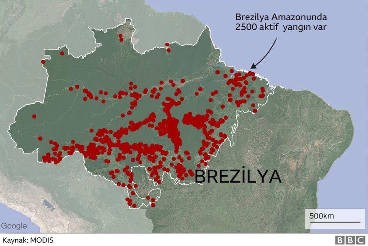 Amazon yangınları: Brezilya lideri Bolsonaro "yaptırım" çağrıları sonrası orduyu devreye sokuyor