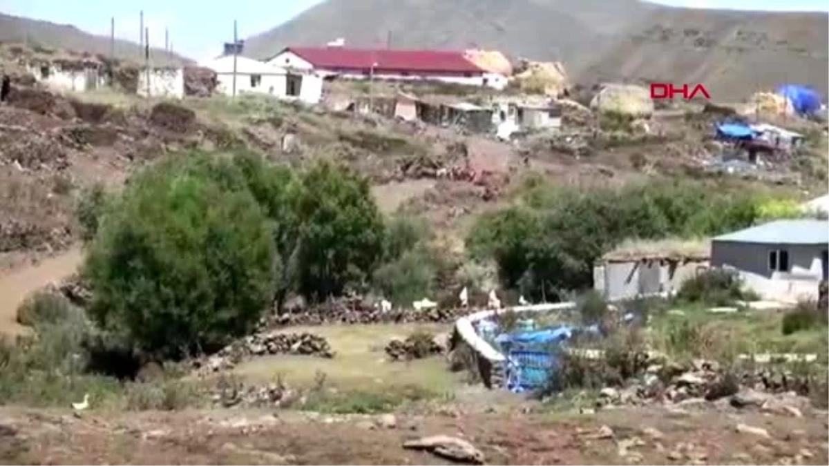 ARDAHAN Hentbolcu kardeşler köylerinde çobanlık yapıyor