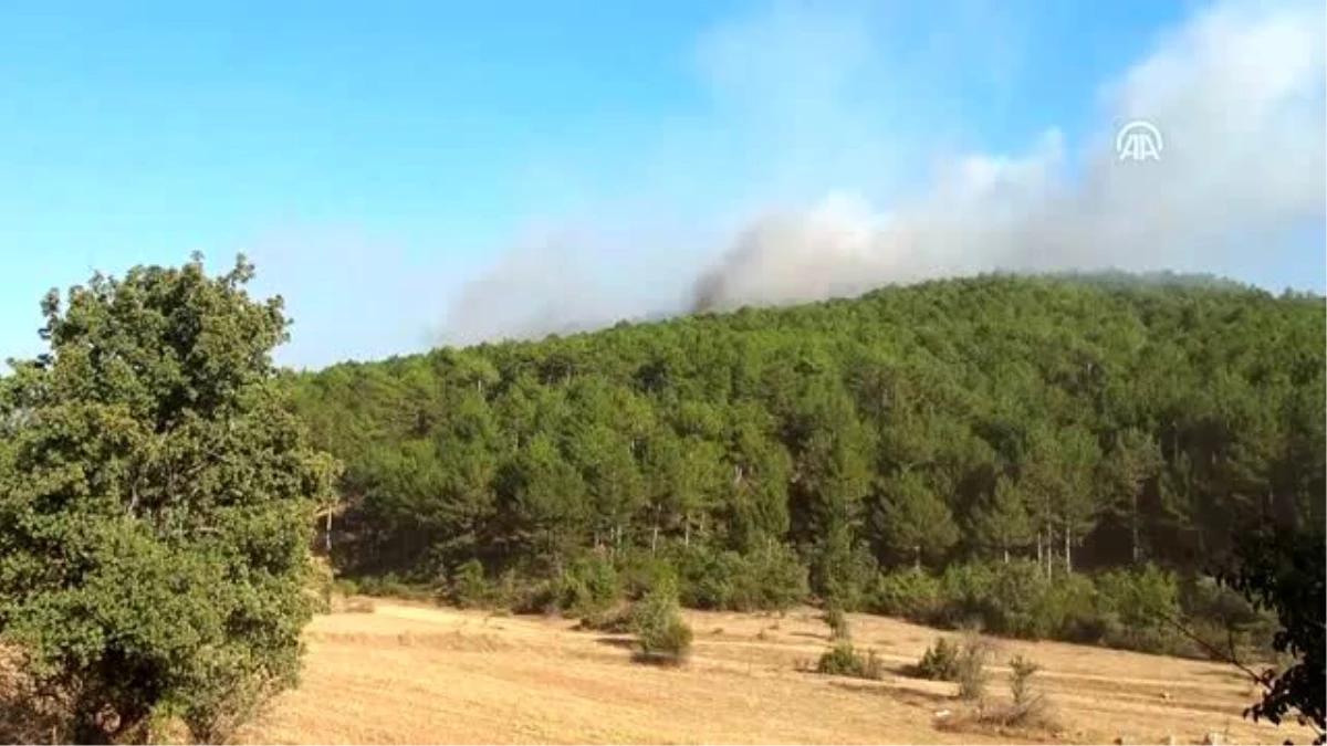 Banaz\'daki orman yangını (3)