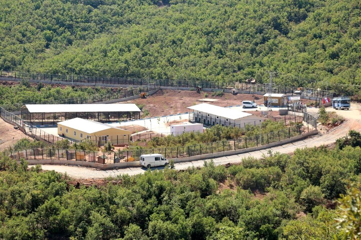 Barınak\'ta içleri sızlatan görüntü