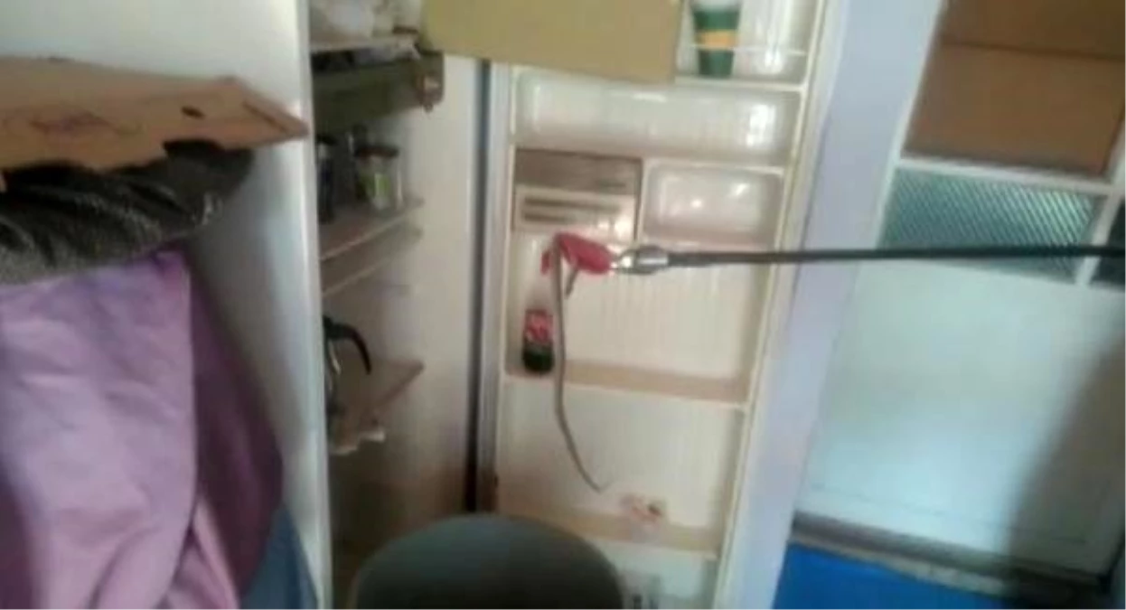 Buzdolabındaki yılan korkuttu