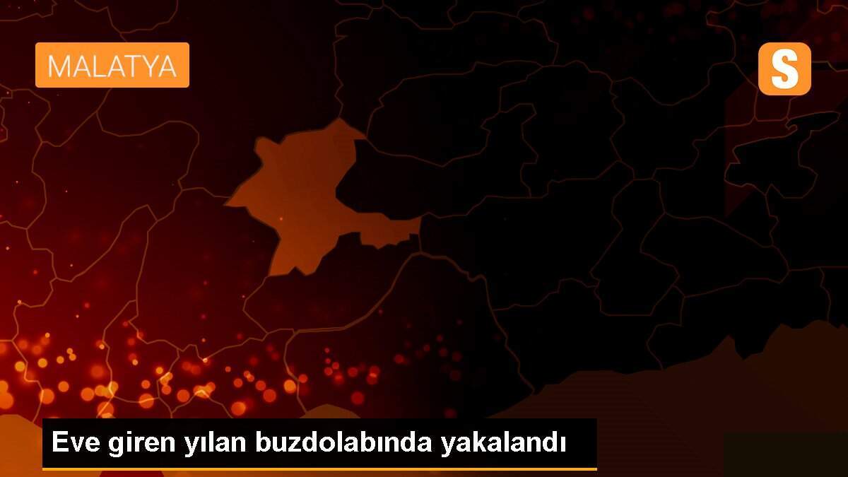 Eve giren yılan buzdolabında yakalandı