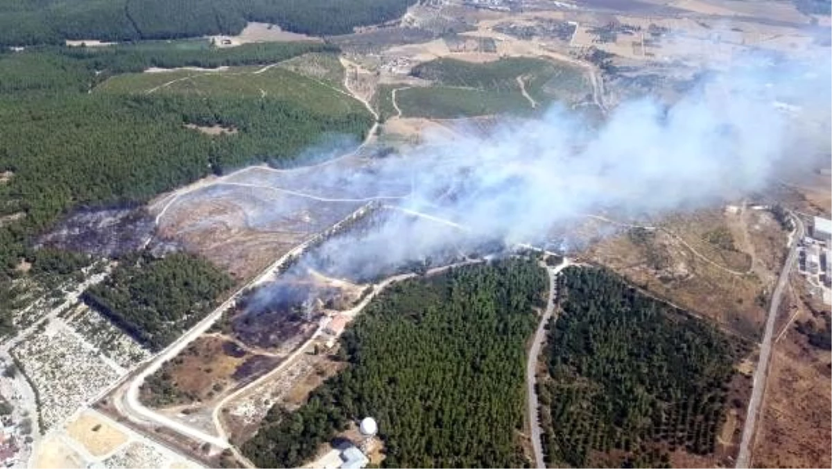 Gaziemir\'de orman yangını