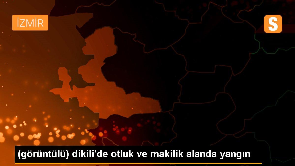 (görüntülü) dikili\'de otluk ve makilik alanda yangın