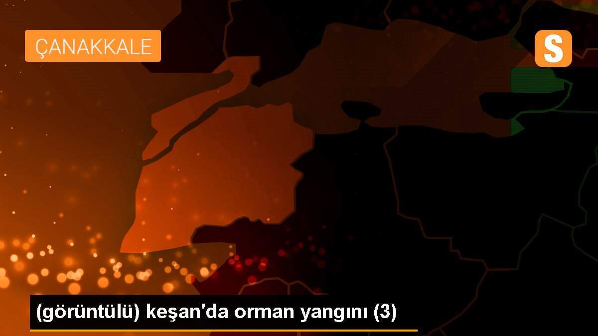 (görüntülü) keşan\'da orman yangını (3)