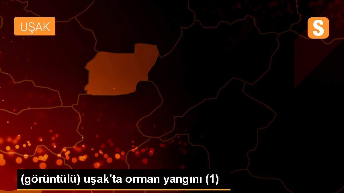 (görüntülü) uşak\'ta orman yangını (1)