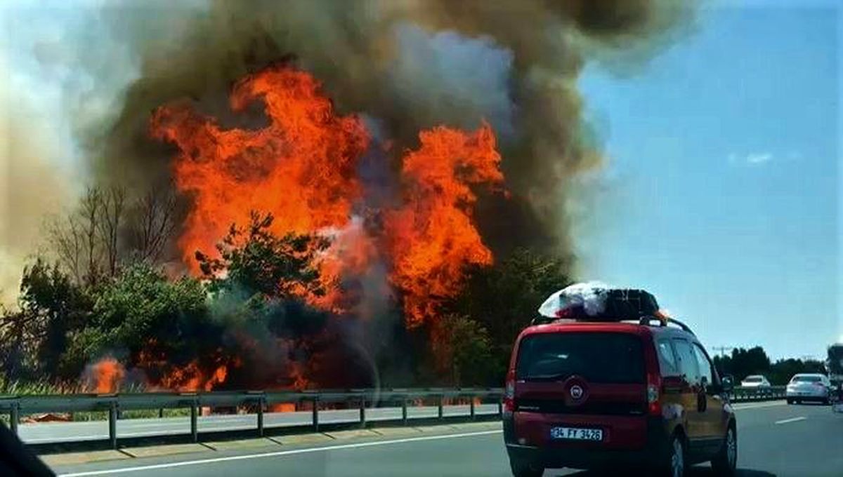 İstanbul - Tekirdağ yolundaki ağaçlık alanda büyük yangın